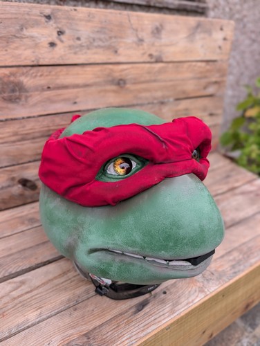 Teenage mutant ninja turtles - teenage,